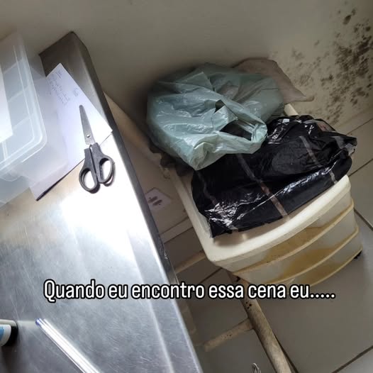 …sei que é o resultado de algo muito profundo, mais delicado do que somente bagunça e desleixo…