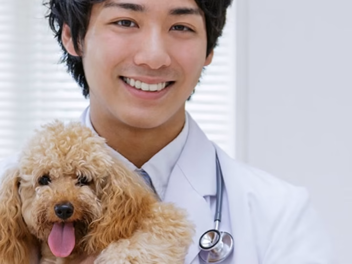 Veterinário: como escolher alguém para cuidar do seu pet?