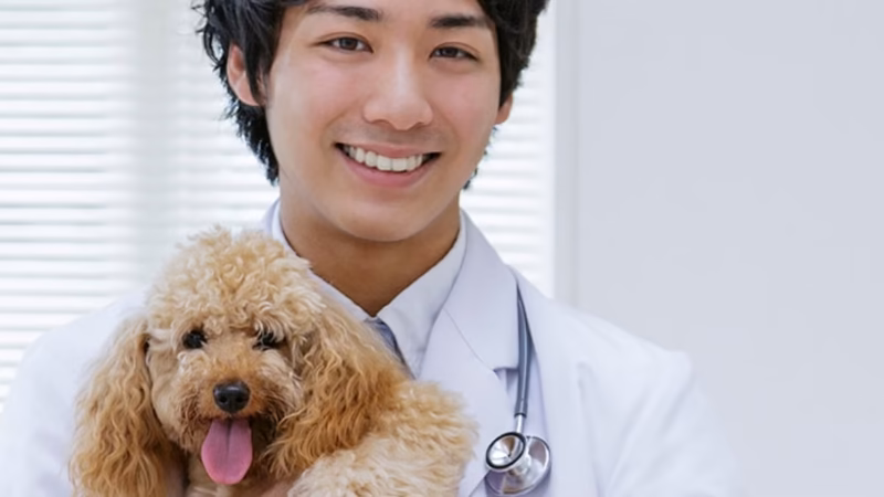 Veterinário: como escolher alguém para cuidar do seu pet?