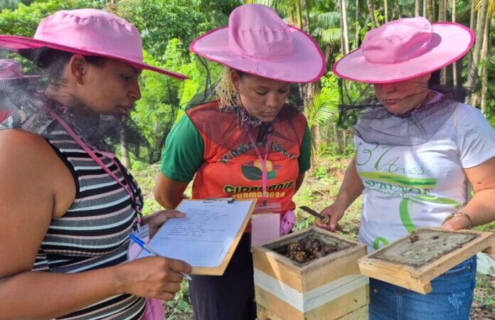Manual de Meliponicultura para Mulheres valoriza saberes e amplia oportunidades no campo.