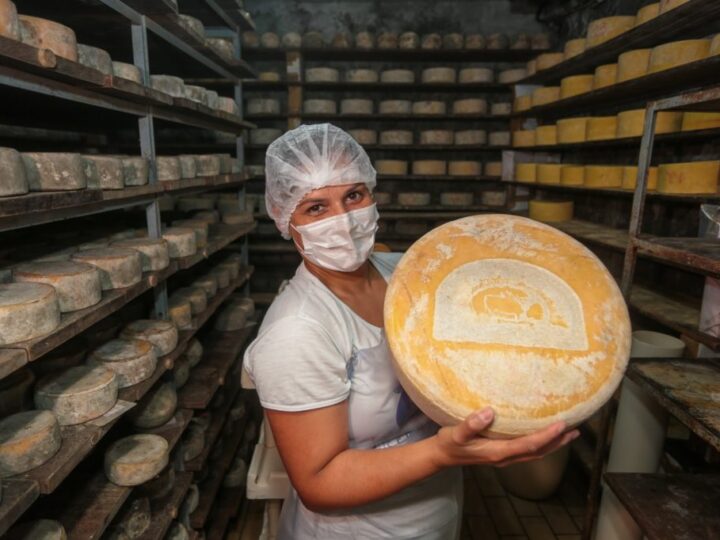Produção artesanal de queijo avança em São Paulo e conquista reconhecimento estadual.