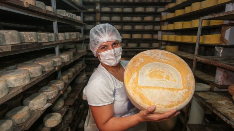 Produção artesanal de queijo avança em São Paulo e conquista reconhecimento estadual.