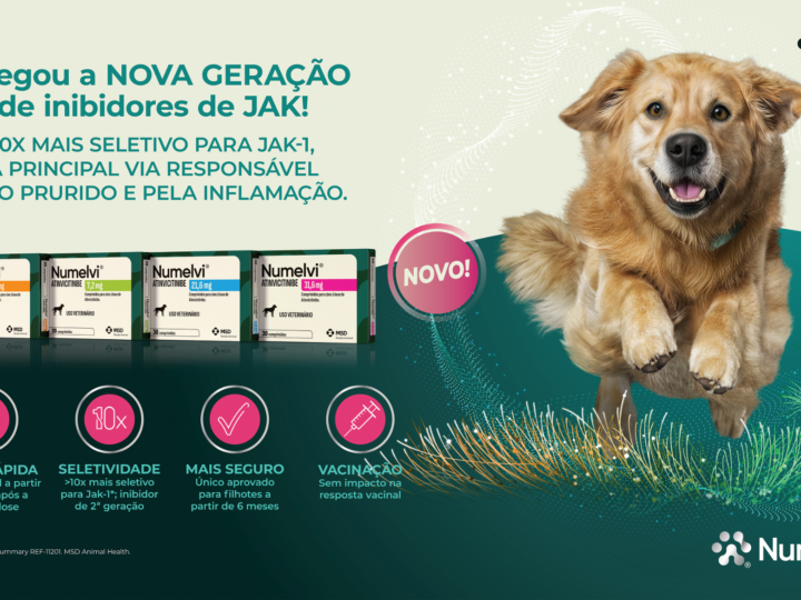 Dermatite atópica canina afeta até 15% dos cães e está entre os principais desafios da clínica veterinária.