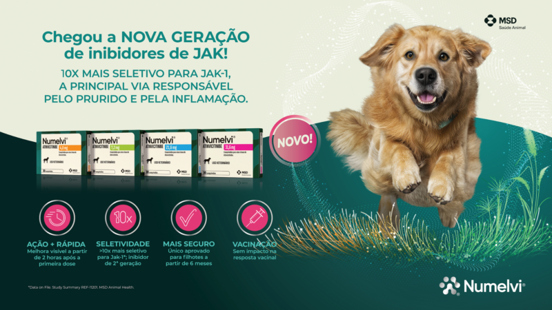 Dermatite atópica canina afeta até 15% dos cães e está entre os principais desafios da clínica veterinária.