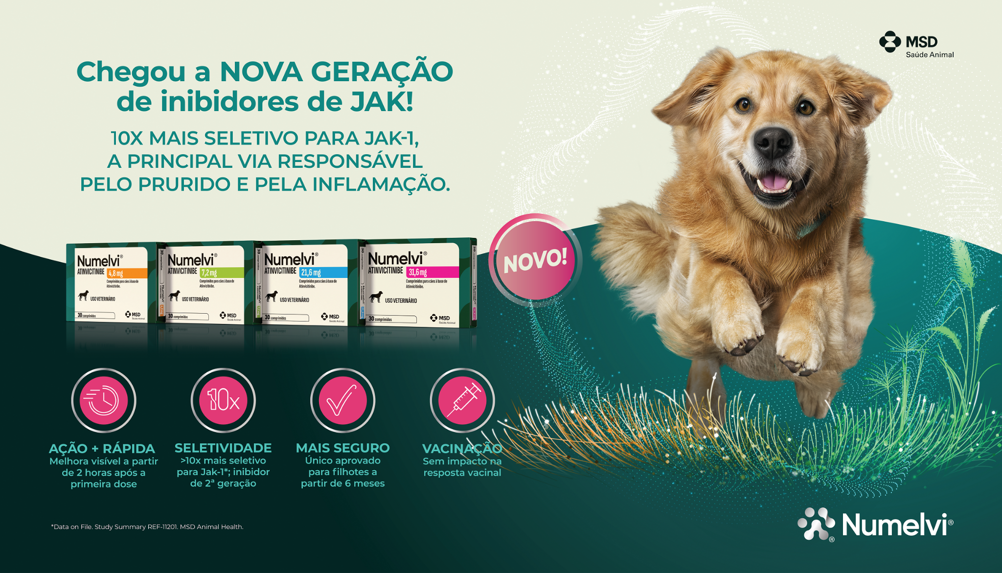 Dermatite atópica canina afeta até 15% dos cães e está entre os principais desafios da clínica veterinária.