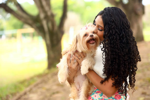 Os animais que partiram “trazem” nas comunicação intuitivas telepáticas.