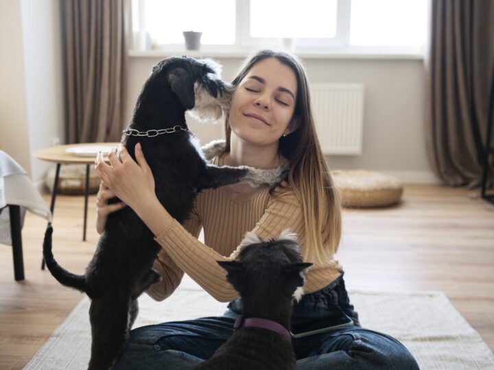 Profissão pet sitter: como o cuidado individual de animais está se tornando uma das economias do mercado pet.