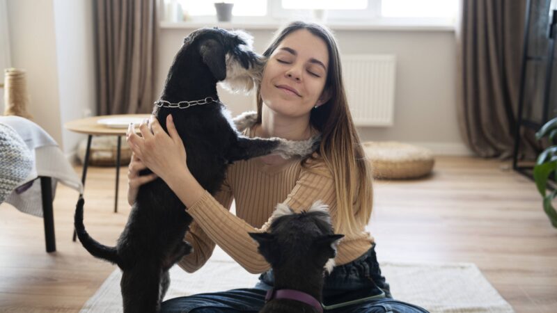 Profissão pet sitter: como o cuidado individual de animais está se tornando uma das economias do mercado pet.