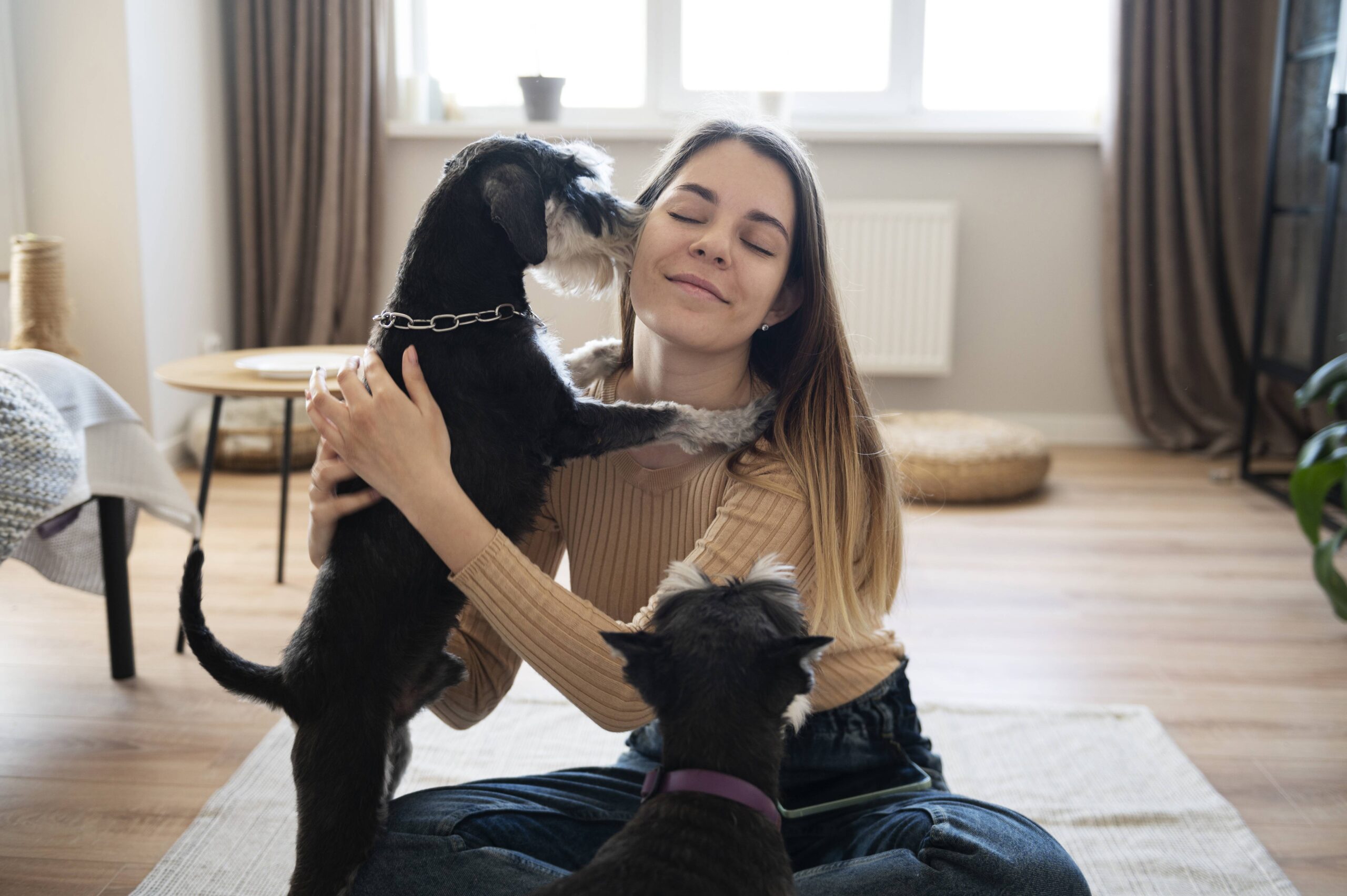 Profissão pet sitter: como o cuidado individual de animais está se tornando uma das economias do mercado pet.