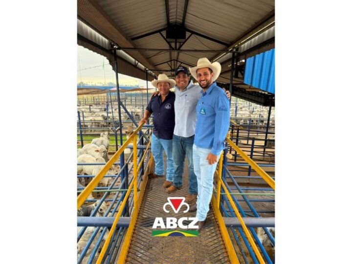 PMGZ Carne avalia animais da Fazenda Camparino em primeira participação no programa.