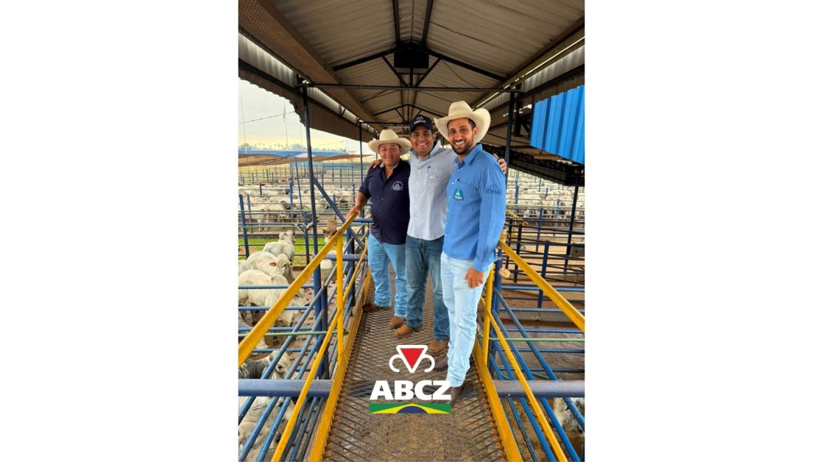 PMGZ Carne avalia animais da Fazenda Camparino em primeira participação no programa.