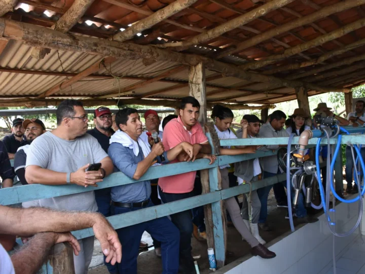 Projeto Agronordeste Parnaíba muda realidade de produtores de leite na região.