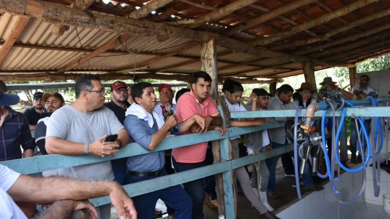 Projeto Agronordeste Parnaíba muda realidade de produtores de leite na região.