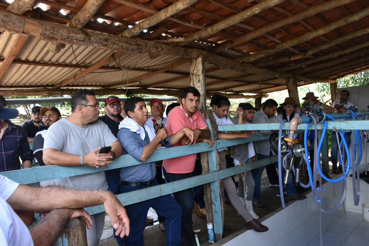 Projeto Agronordeste Parnaíba muda realidade de produtores de leite na região.