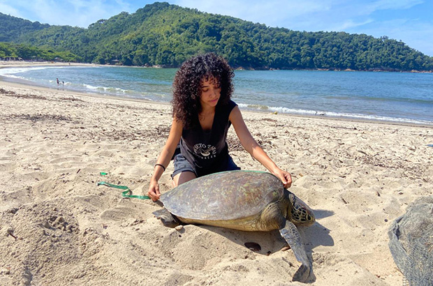 As ondas de tartarugas verdes em Ubatuba!