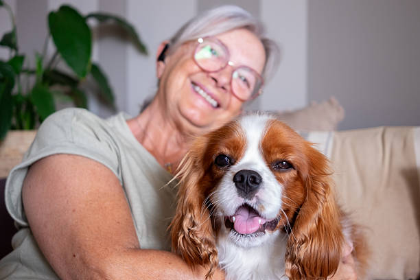 Pets e Idosos: Como Construir uma Relação Saudável, Segura e Cheia de Benefícios.