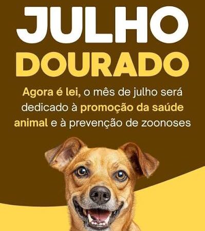 Julho Dourado alerta para a importância da prevenção de zoonoses no país.
