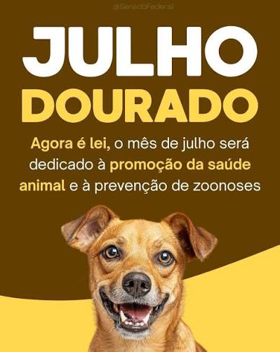 Julho Dourado alerta para a importância da prevenção de zoonoses no país.