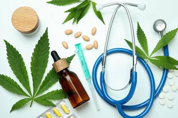 Estão abertas as Inscrições para o Exame de Certificação do Título de Especialista em Endocanabinologia Veterinária.