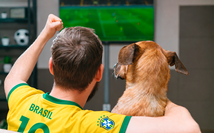 Veja como proteger cães e gatos durante jogos e comemorações.