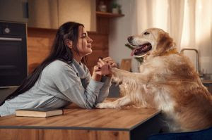 Por que os rituais moldam o vínculo entre responsáveis e pets?
