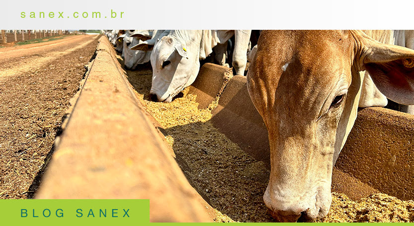 MAPA proíbe antimicrobianos como melhoradores de desempenho: o que muda para a produção animal?