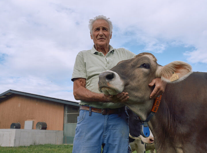 No Dia do Pecuarista, Boehringer Ingelheim destaca a prevenção sanitária como chave para a sustentabilidade e eficiência no campo.