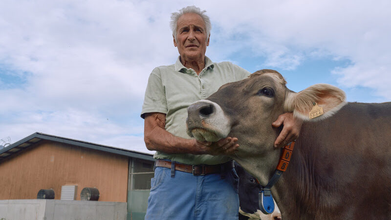 No Dia do Pecuarista, Boehringer Ingelheim destaca a prevenção sanitária como chave para a sustentabilidade e eficiência no campo.