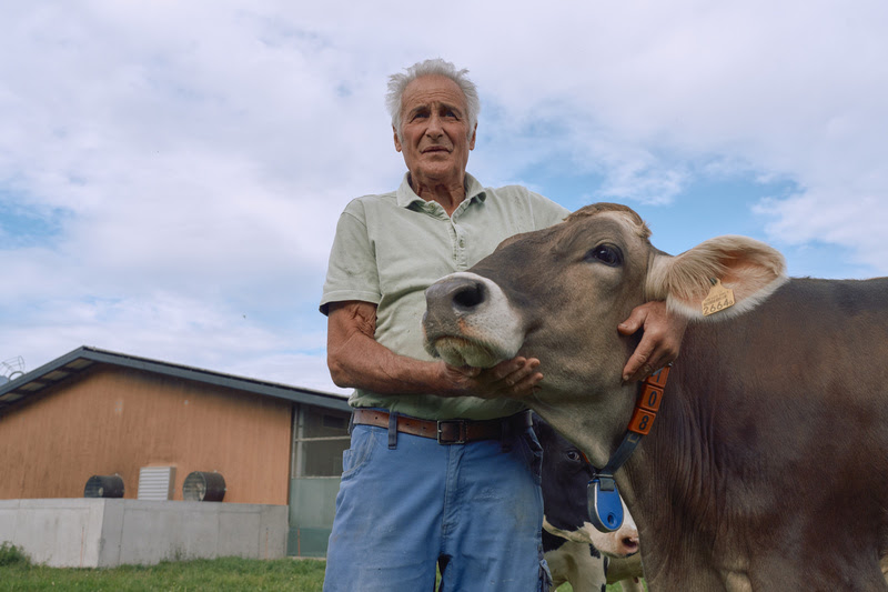 No Dia do Pecuarista, Boehringer Ingelheim destaca a prevenção sanitária como chave para a sustentabilidade e eficiência no campo.