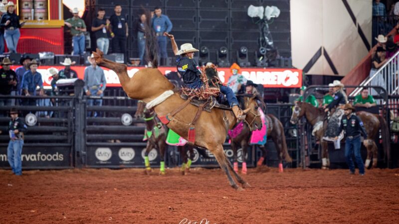 Cutiano, Team Penning e Três Tambores movimentam arena do Barretos International Rodeo.
