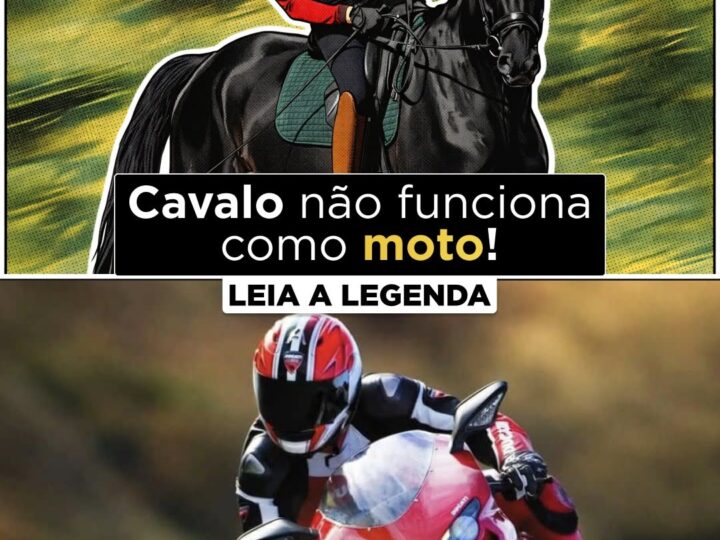 Cavalo não é moto.