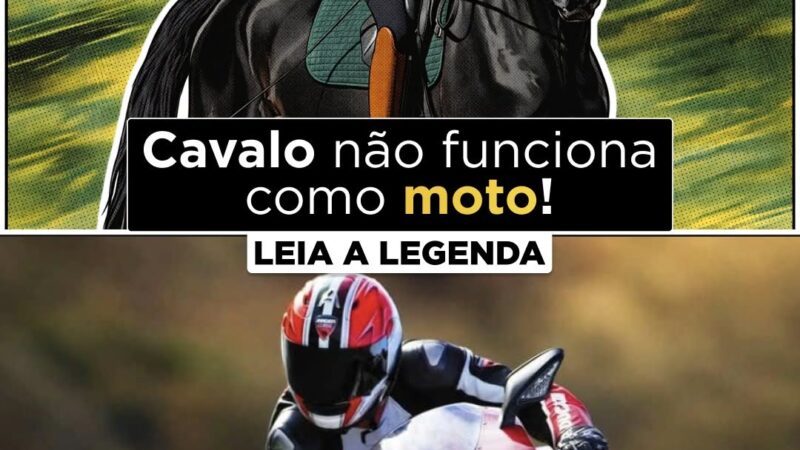 Cavalo não é moto.