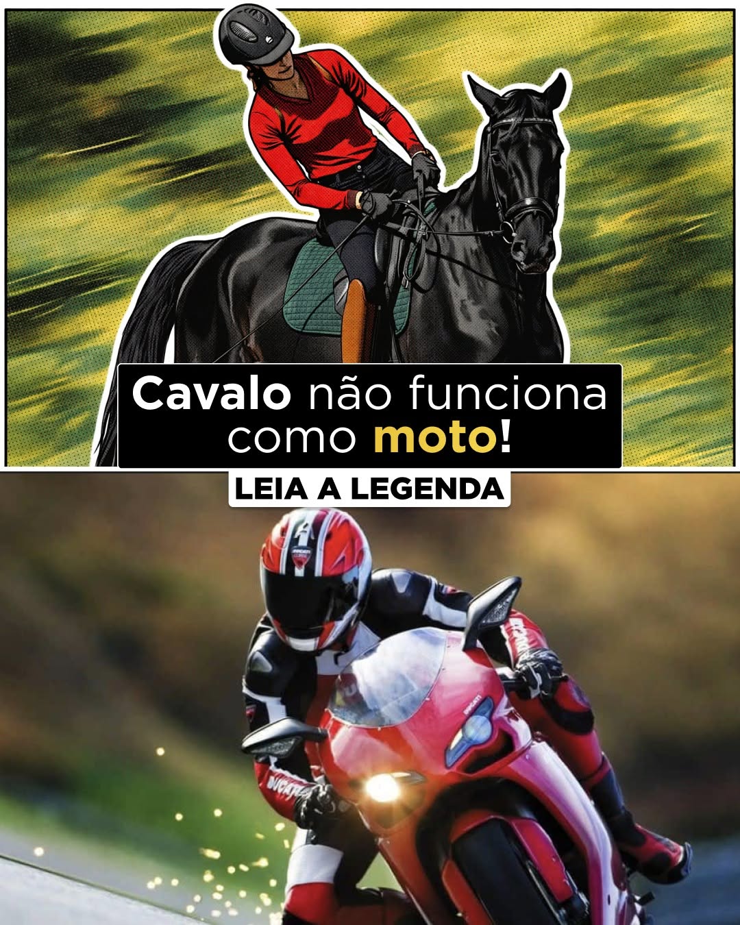 Cavalo não é moto.