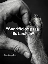 “Sacrifício” para “Eutanásia”.