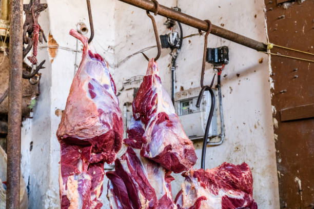 VOCÊ COMERIA CARNE NÃO INSPECIONADA?
