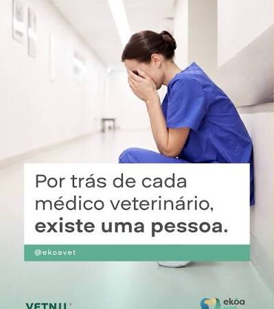 É comum enxergarem Médicos Veterinários somente como profissionais.