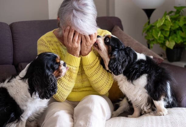 No passado, o cuidado com os animais não incluía as necessidades emocionais dos tutores.