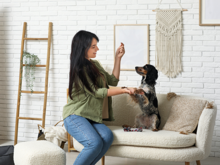 Quais as diferenças entre os termos tutor e responsável e por que isso importa no mercado pet?