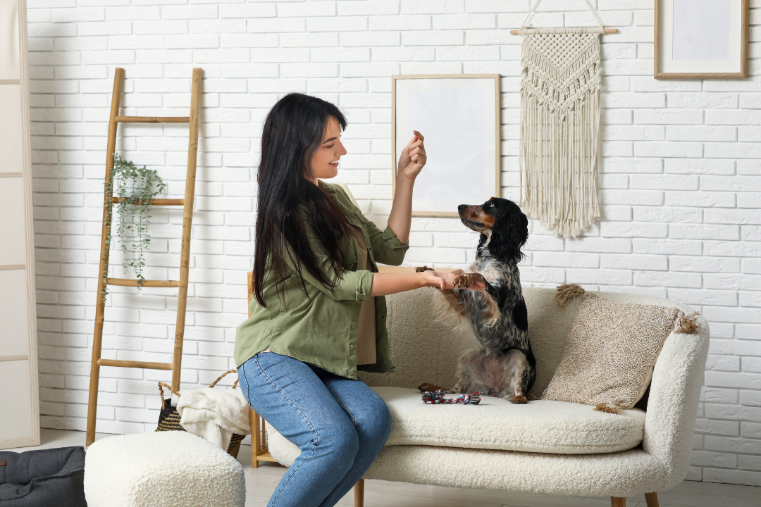 Quais as diferenças entre os termos tutor e responsável e por que isso importa no mercado pet?