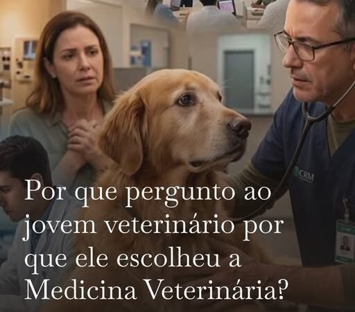 Amo animais não faz de ninguém um médico-veterinário. Explico por quê.