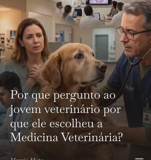 Amo animais não faz de ninguém um médico-veterinário. Explico por quê.