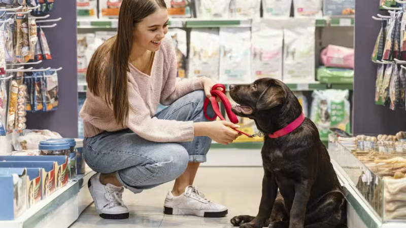 Conveniência e soluções de longa duração ditam nova era de crescimento no mercado de saúde pet.