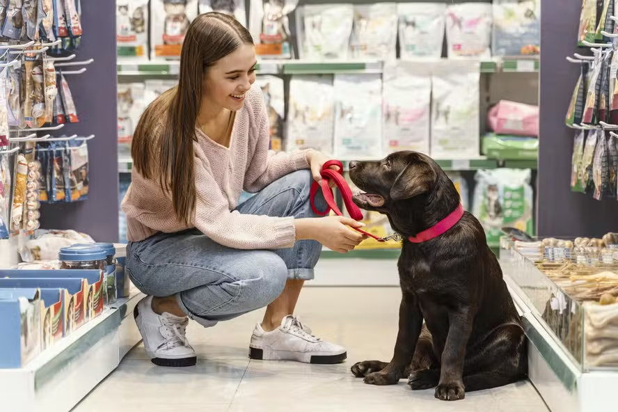 Conveniência e soluções de longa duração ditam nova era de crescimento no mercado de saúde pet.