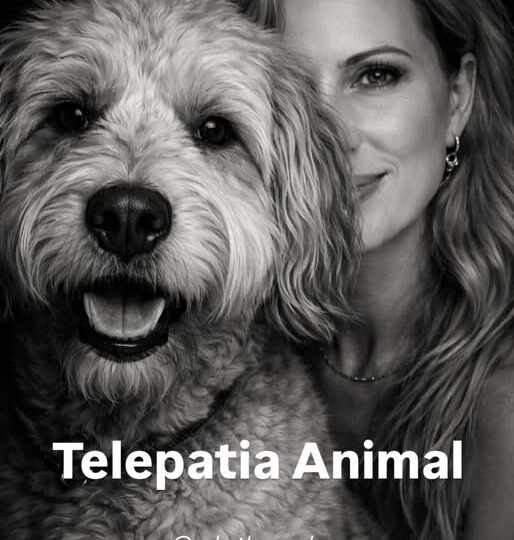 Os animais não usam palavras para transmitirem medo, amor, saudade, tristeza ou paz.