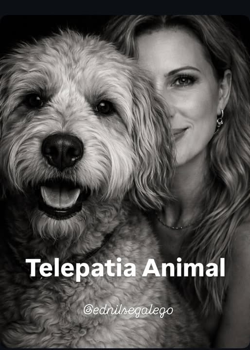 Os animais não usam palavras para transmitirem medo, amor, saudade, tristeza ou paz.