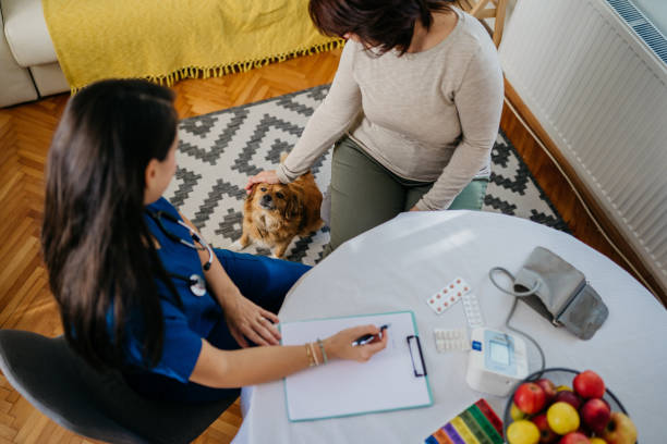 Como evitar o estresse dos Pets durante a consulta clínica.