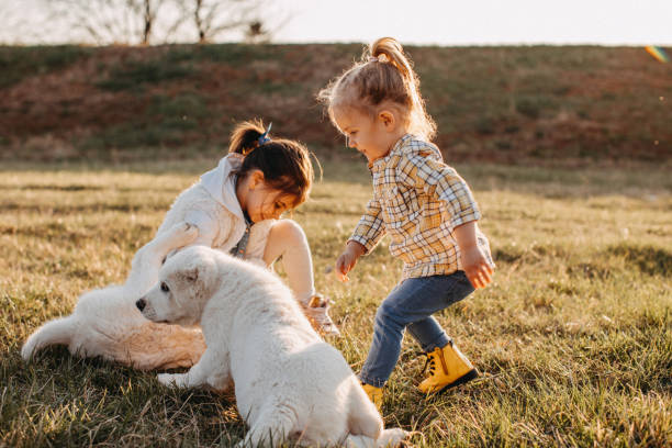 Dia das Crianças: grávidas e crianças não podem conviver com animais? Veja mitos e verdades sobre a relação com pets.