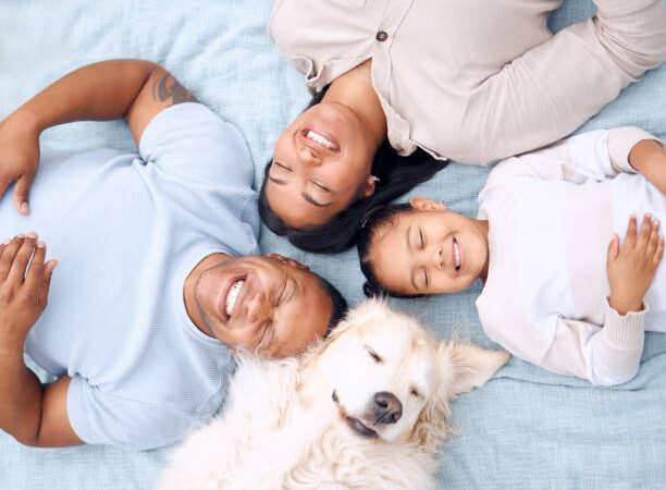 Posse Responsável de Pets no Brasil: Um Compromisso com a Vida e o Bem-Estar Animal.