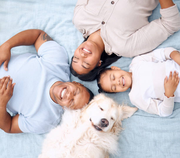 Posse Responsável de Pets no Brasil: Um Compromisso com a Vida e o Bem-Estar Animal.