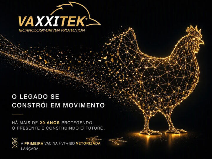 Evolução sanitária na avicultura: imunização em incubatórios contra Gumboro e Marek completa duas décadas.